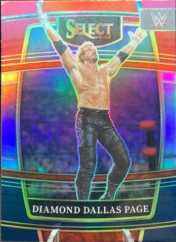 Diamond Dallas Page [Red & Blue Prizm] #35