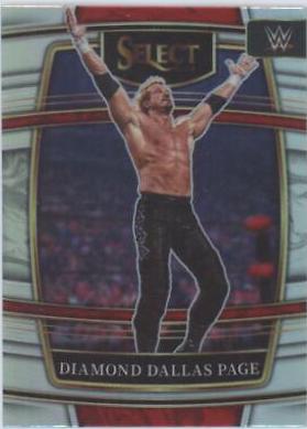 Diamond Dallas Page [Silver Prizm] #35
