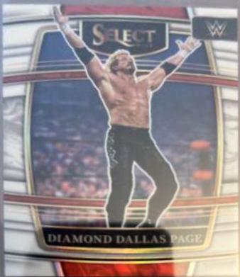 Diamond Dallas Page [White Prizm] #35