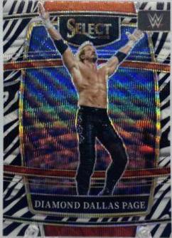 Diamond Dallas Page [Zebra Prizm] #35