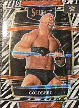Goldberg [Zebra Prizm] #19