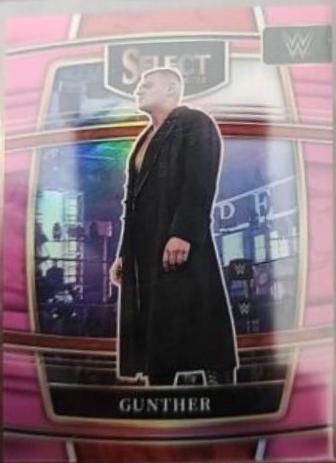 Gunther [Pink Prizm] #18