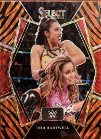 Indi Hartwell [Tiger Prizm] #173