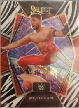 Joaquin Wilde [Zebra Prizm] #135