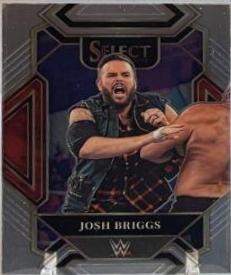 Josh Briggs #352