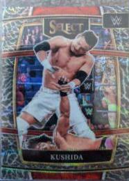 Kushida [Elephant Prizm] #62