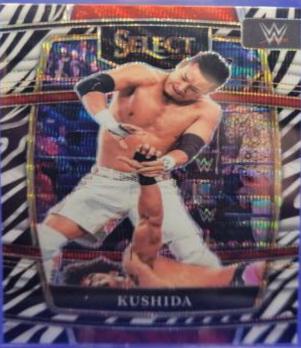 Kushida [Zebra Prizm] #62