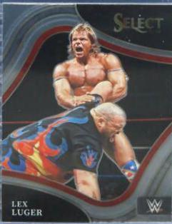 Lex Luger #300