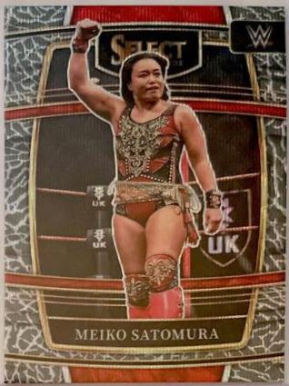 Meiko Satomura [Elephant Prizm] #12