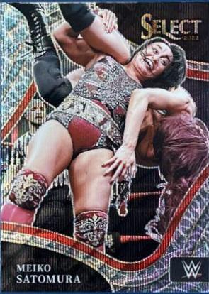 Meiko Satomura [Elephant Prizm] #281