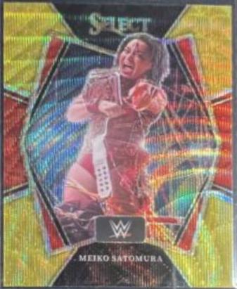 Meiko Satomura [Gold Wave] #281