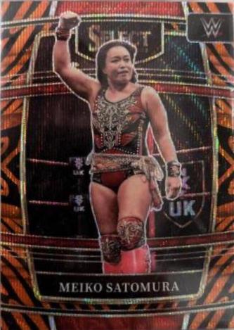 Meiko Satomura [Tiger Prizm] #12