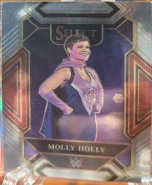 Molly Holly #333