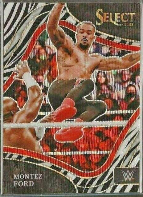 Montez Ford [Zebra Prizm] #291