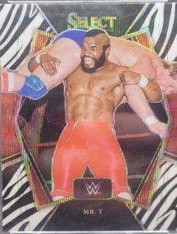 Mr. T [Zebra Prizm] #196