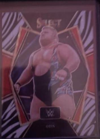 Otis [Zebra Prizm] #148
