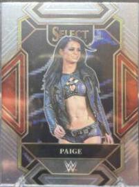 Paige #345