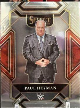 Paul Heyman #356