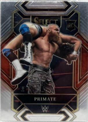 Primate #365
