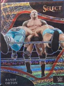 Randy Orton [Elephant Prizm] #253