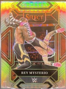 Rey Mysterio #307