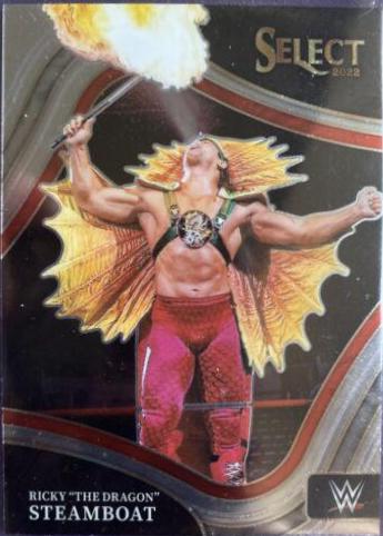 Ricky 'The Dragon' Steamboat #205