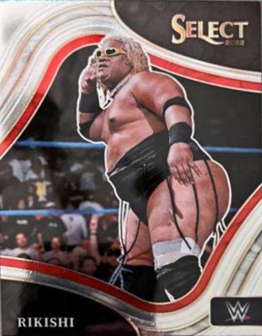 Rikishi #225
