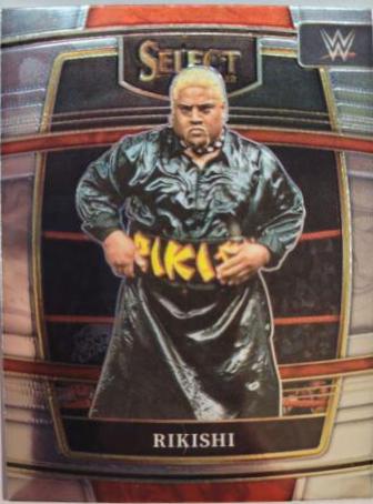 Rikishi #46
