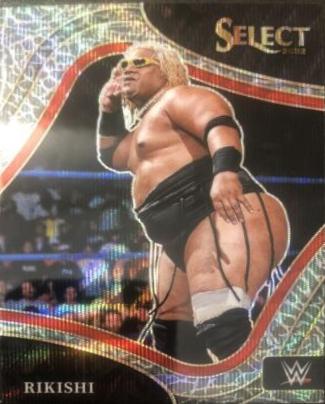 Rikishi [Elephant Prizm] #225