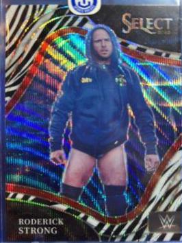 Roderick Strong [Zebra Prizm] #245