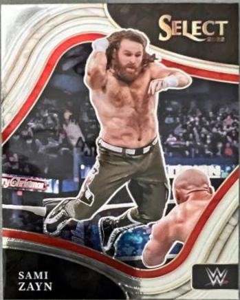 Sami Zayn #265