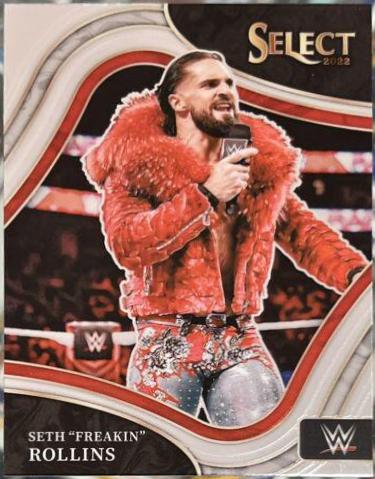 Seth 'Freakin' Rollins #295