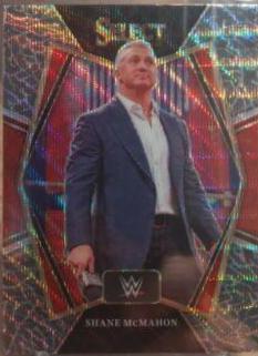 Shane McMahon [Elephant Prizm] #102