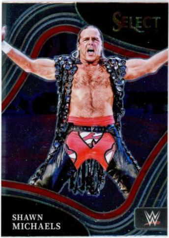 Shawn Michaels #207