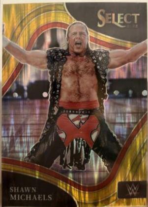 Shawn Michaels [Gold Flash] #207