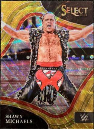 Shawn Michaels [Gold Wave] #207