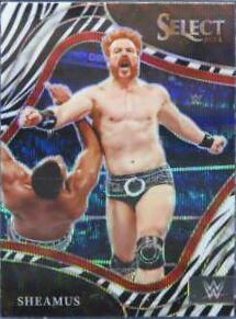 Sheamus [Zebra Prizm] #217