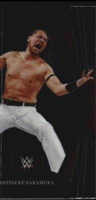 Shinsuke Nakamura #132