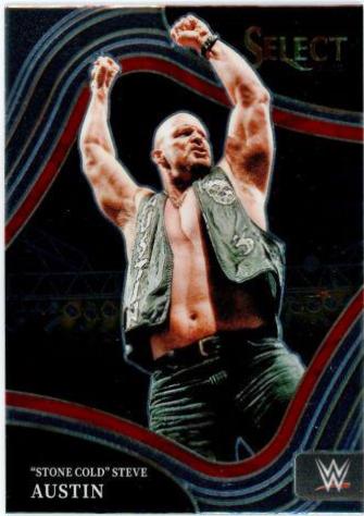Stone Cold Steve Austin #237