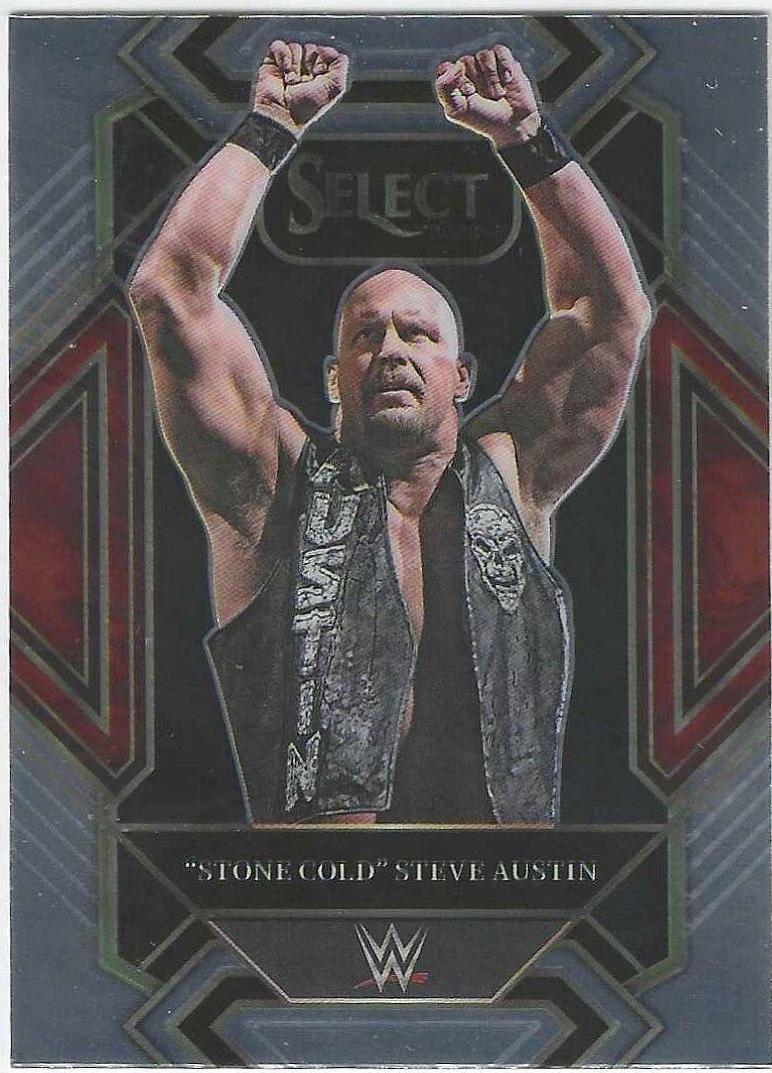 Stone Cold Steve Austin #342