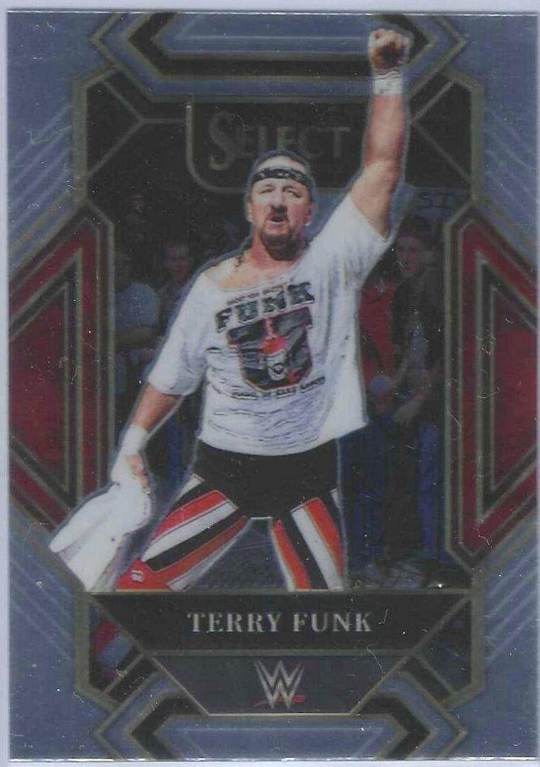 Terry Funk #389