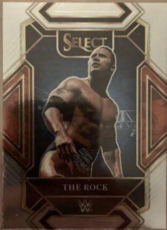 The Rock #301
