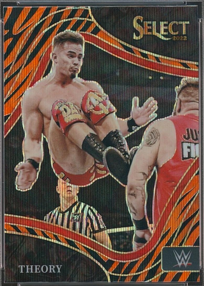 Theory [Tiger Prizm] #262