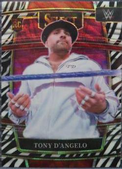 Tony D'Angelo [Zebra Prizm] #98