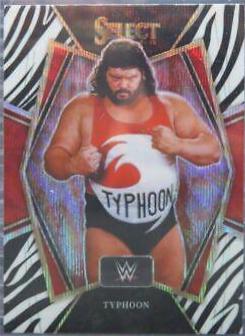 Typhoon [Zebra Prizm] #104
