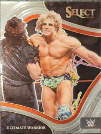 Ultimate Warrior #229