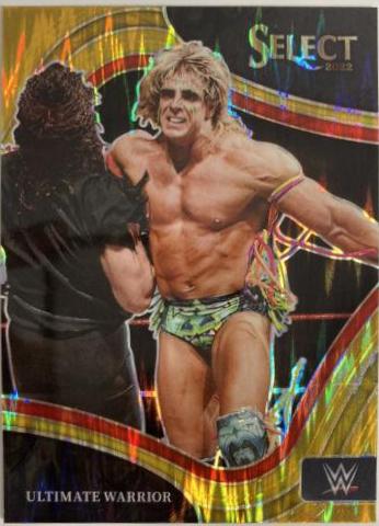 Ultimate Warrior [Gold Flash] #229