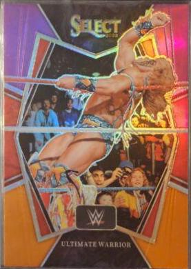 Ultimate Warrior [Purple & Orange Prizm] #114