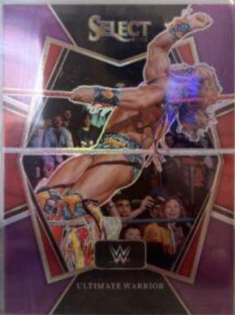 Ultimate Warrior [Purple Prizm] #114