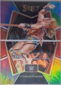 Ultimate Warrior [Tie Dye Prizm] #114